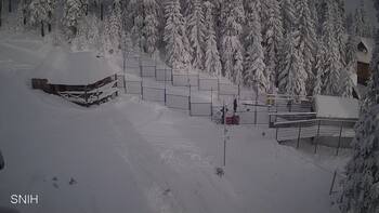 Драгобрат 11 січня 2026 року, 2026-01-11 10:00