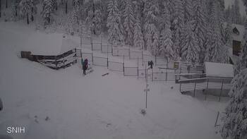 Драгобрат 11 січня 2026 року, 2026-01-11 13:00