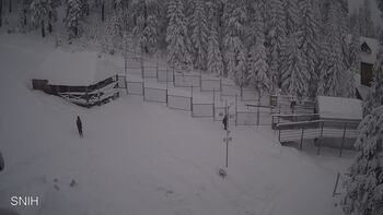 Драгобрат 11 січня 2026 року, 2026-01-11 16:00