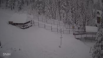 Драгобрат 12 січня 2026 року, 2026-01-12 16:00