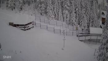 Драгобрат 13 січня 2026 року, 2026-01-13 10:00