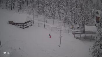 Драгобрат 13 січня 2026 року, 2026-01-13 13:00