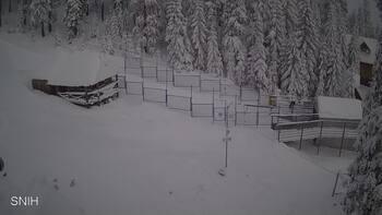 Драгобрат 14 січня 2026 року, 2026-01-14 10:00