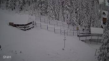 Драгобрат 14 січня 2026 року, 2026-01-14 13:00