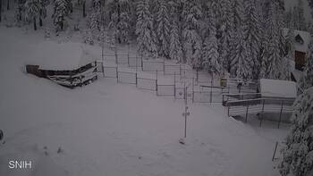 Драгобрат 14 січня 2026 року, 2026-01-14 16:00