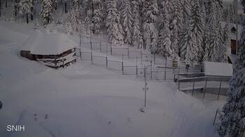 Драгобрат 15 січня 2026 року, 2026-01-15 10:00