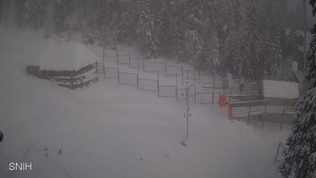 Драгобрат 16 січня 2026 року, 2026-01-16 10:00