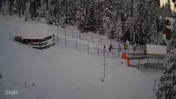 Драгобрат 16 січня 2026 року, 2026-01-16 16:00