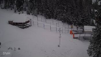 Drahobrat 24 styczeń 2026 rok, 2026-01-24 10:00