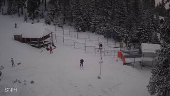 Драгобрат 24 січня 2026 року, 2026-01-24 16:00