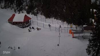 Драгобрат 25 січня 2026 року, 2026-01-25 13:00