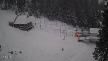 Драгобрат 29 січня 2026 року, 2026-01-29 10:00