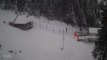 Драгобрат 29 січня 2026 року, 2026-01-29 13:00