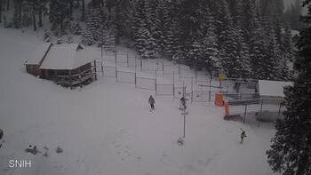 Драгобрат 29 січня 2026 року, 2026-01-29 16:00