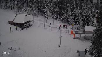 Драгобрат 1 лютого 2026 року, 2026-02-01 16:00