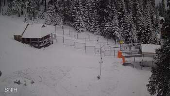 Драгобрат 2 лютого 2026 року, 2026-02-02 10:00