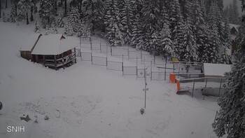 Драгобрат 3 лютого 2026 року, 2026-02-03 10:00