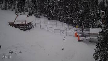 Драгобрат 4 лютого 2026 року, 2026-02-04 10:00