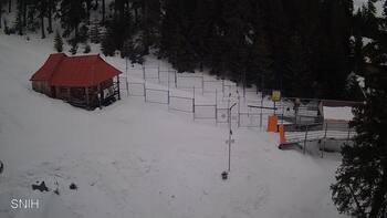 Драгобрат 5 лютого 2026 року, 2026-02-05 10:00