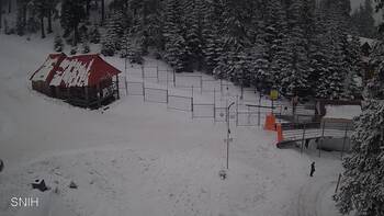 Драгобрат 8 лютого 2026 року, 2026-02-08 16:00