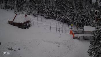 Драгобрат 10 лютого 2026 року, 2026-02-10 10:00