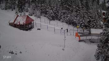 Драгобрат 10 лютого 2026 року, 2026-02-10 13:00