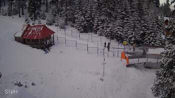 Драгобрат 10 лютого 2026 року, 2026-02-10 16:00