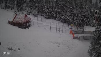 Драгобрат 11 лютого 2026 року, 2026-02-11 10:00