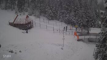 Драгобрат 11 лютого 2026 року, 2026-02-11 13:00