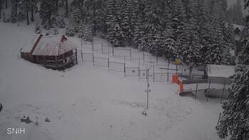 Драгобрат 11 лютого 2026 року, 2026-02-11 16:00