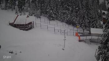 Драгобрат 12 лютого 2026 року, 2026-02-12 10:00