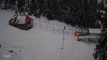 Драгобрат 12 лютого 2026 року, 2026-02-12 13:00