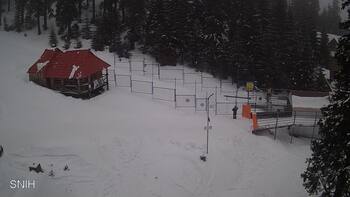 Драгобрат 12 лютого 2026 року, 2026-02-12 16:00