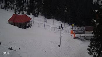 Драгобрат 13 лютого 2026 року, 2026-02-13 16:00