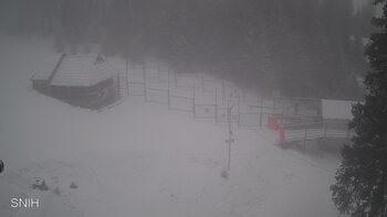 Драгобрат 15 лютого 2026 року 16:00