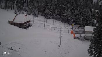 Драгобрат 16 лютого 2026 року 10:00