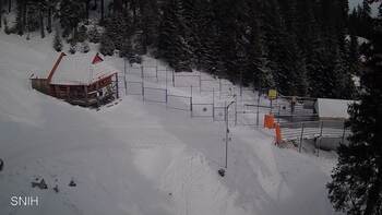 Драгобрат 17 лютого 2026 року, 2026-02-17 10:00