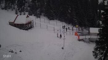 Драгобрат 17 лютого 2026 року, 2026-02-17 16:00