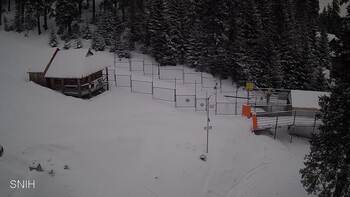 Drahobrat 19 february 2026 year 10:00