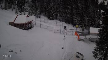 Drahobrat 19 february 2026 year 13:00