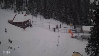 Drahobrat 19 february 2026 year 16:00