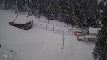 Драгобрат 20 лютого 2026 року, 2026-02-20 10:00