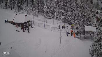 Драгобрат 24 лютого 2026 року, 2026-02-24 13:00