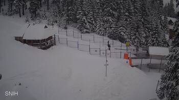 Драгобрат 25 лютого 2026 року, 2026-02-25 16:00