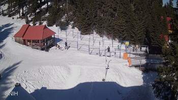 Драгобрат 7 березня 2026 року, 2026-03-07 13:00