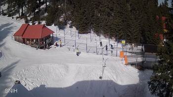 Драгобрат 8 березня 2026 року, 2026-03-08 13:00