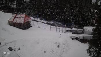 Драгобрат 31 березня 2026 року, 2026-03-31 10:00