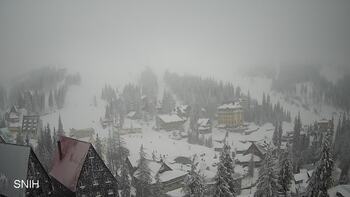 Драгобрат 15 січня 2024 року, 2024-01-15 16:00