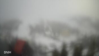 Драгобрат 3 лютого 2024 року, 2024-02-03 13:00