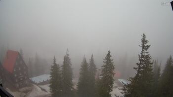 Драгобрат 16 березня 2025 року, 2025-03-16 16:00